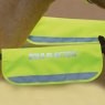 Shires Shires Equi-Flector Bridle/Halter Bands