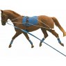 Kincade Lunging Training System