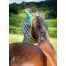 Rear profile of horse and fly mask