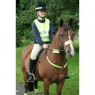 Airowear Highlite Reflective Tabard