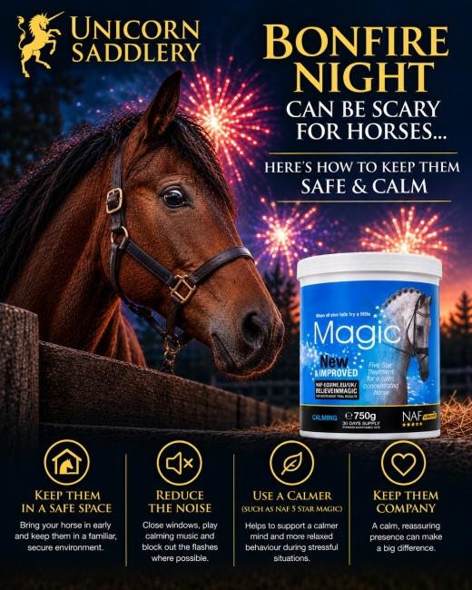 BONFIRE NIGHT: KEEP YOUR HORSE... 