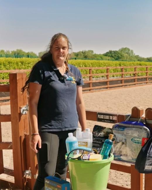 Bays or Greys? Black or Brown Tack?... 